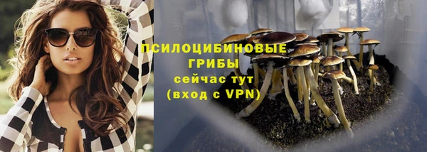 МДПВ Пролетарск